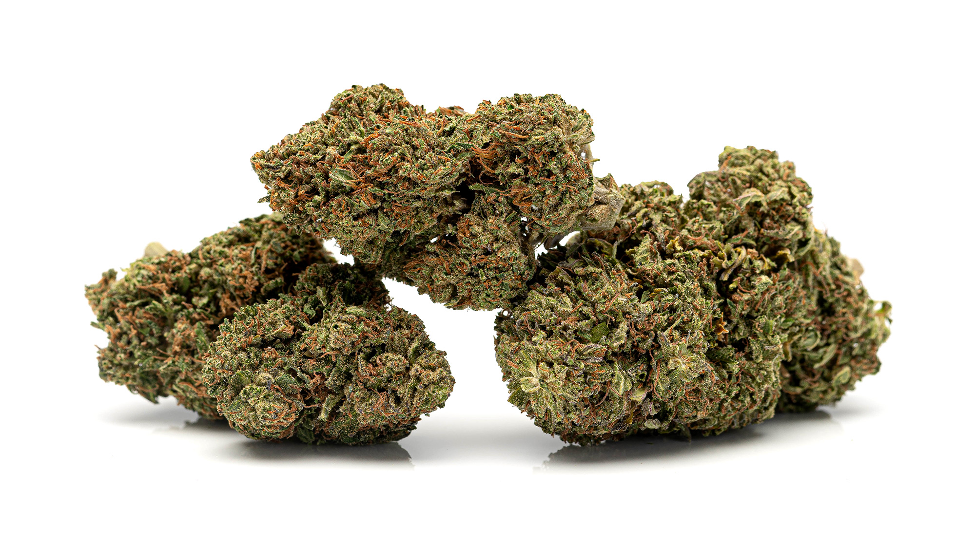 404_budz