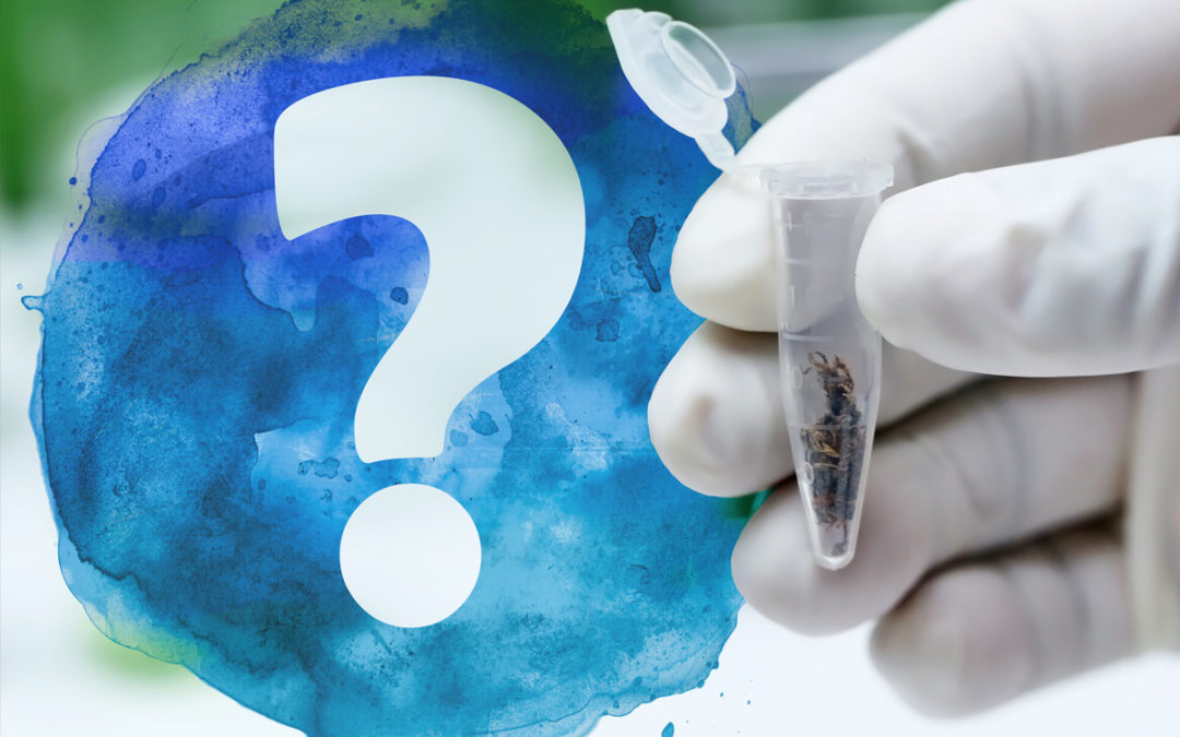 5 Crucial Questions When Choosing a Hemp Testing Lab